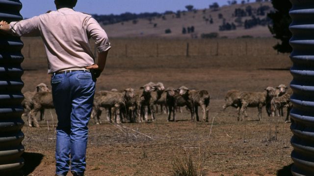 drought year 7 charity