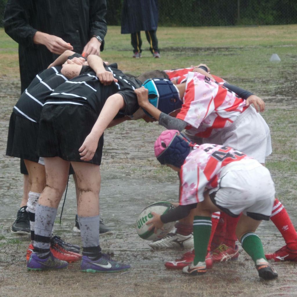 Japan Rugby 02 cropped