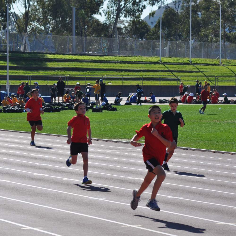 athletics-carnival-9-cropped