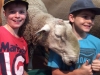 bathurst-excursion-2014-11