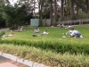 boys-on-grass-uoi-2014-02-14