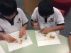 y4-mining-for-fossils-1-cropped